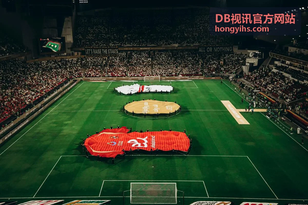 DB视讯官方网站互动方案服务